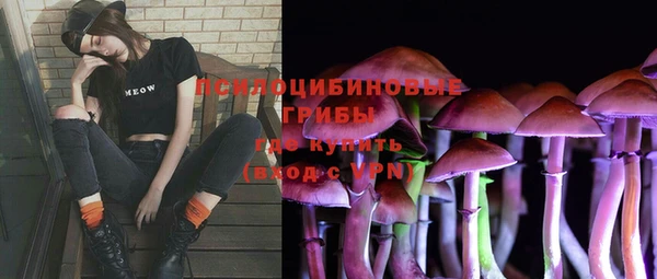 дживик Аркадак