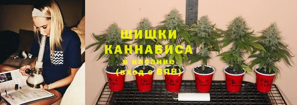 a pvp Армянск