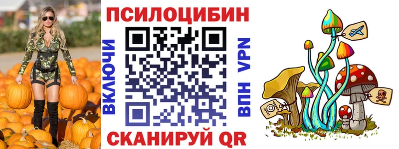 Галлюциногенные грибы GOLDEN TEACHER  магазин продажи   Северо-Курильск 